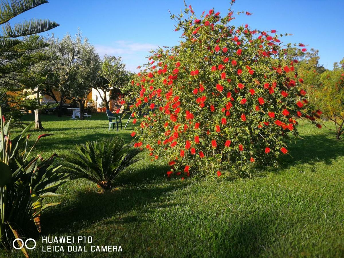B&B Fiori Di Pesco Fertilia Dış mekan fotoğraf