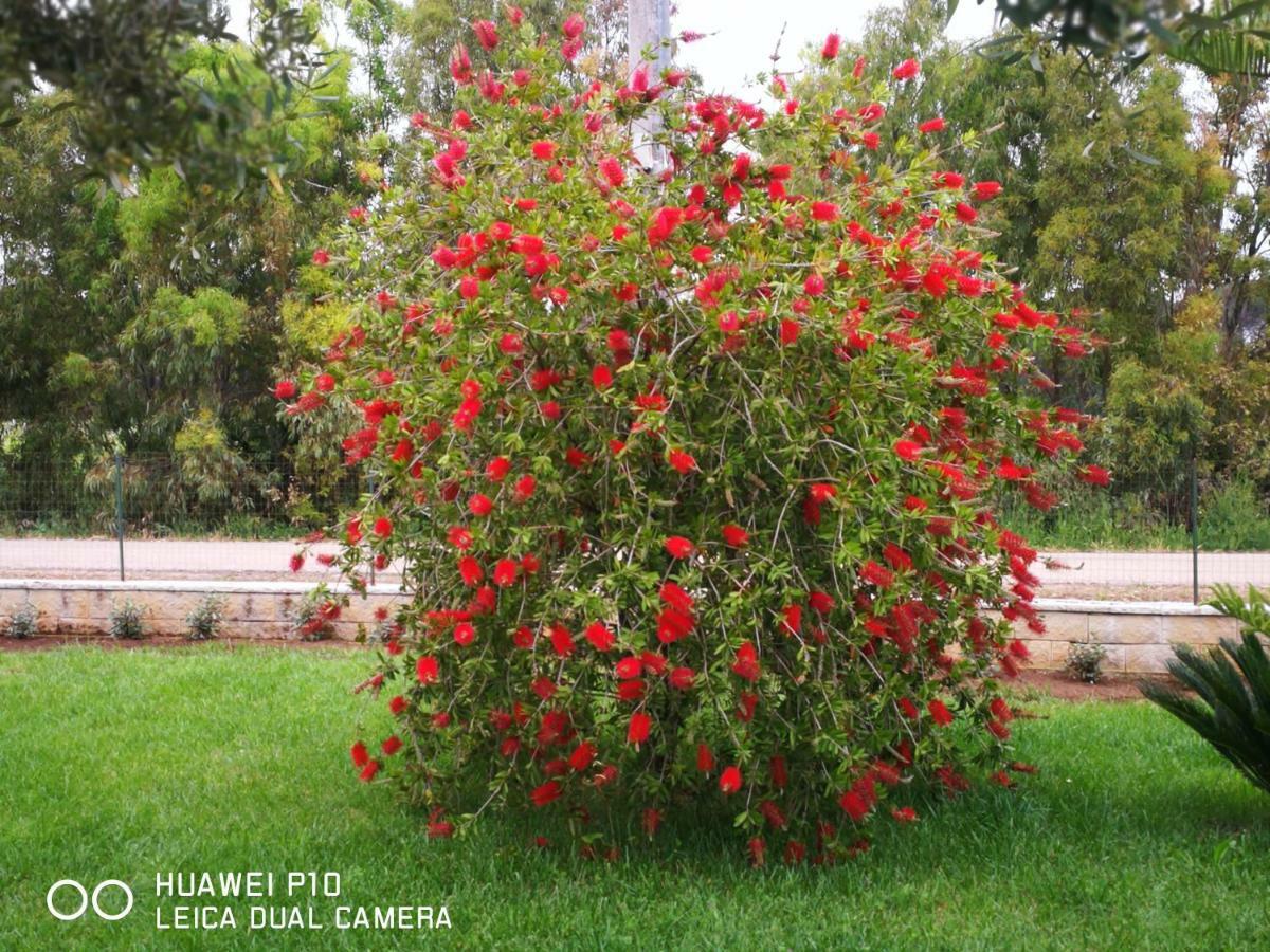 B&B Fiori Di Pesco Fertilia Dış mekan fotoğraf